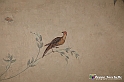 VBS_1183 - Castello di Miradolo - Mostra Oltre il giardino l'Abbecedario di paolo Pejrone